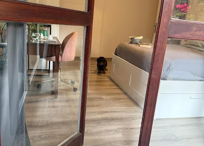 Il Giardinetto Di Elelu' Private Garage Apartamento *